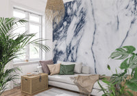 Classic Navy and White Marble Veins Wall Mural