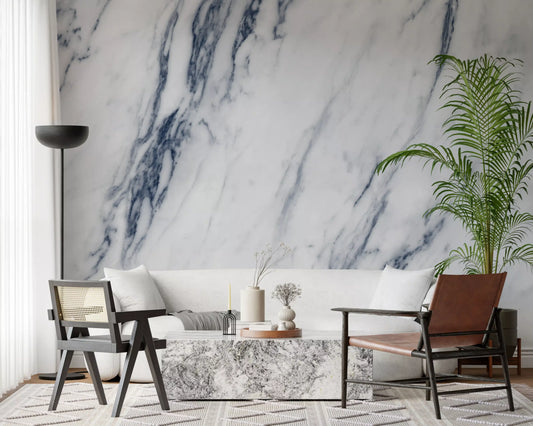 Classic Blue and White Marble Vein Wall Mural