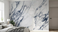 Murale da parete in marmo venato blu e bianco classico