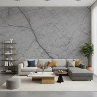 Décor mural en pierre grise monochrome veinée