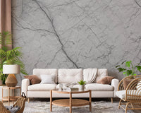 Décor mural en pierre grise monochrome veinée