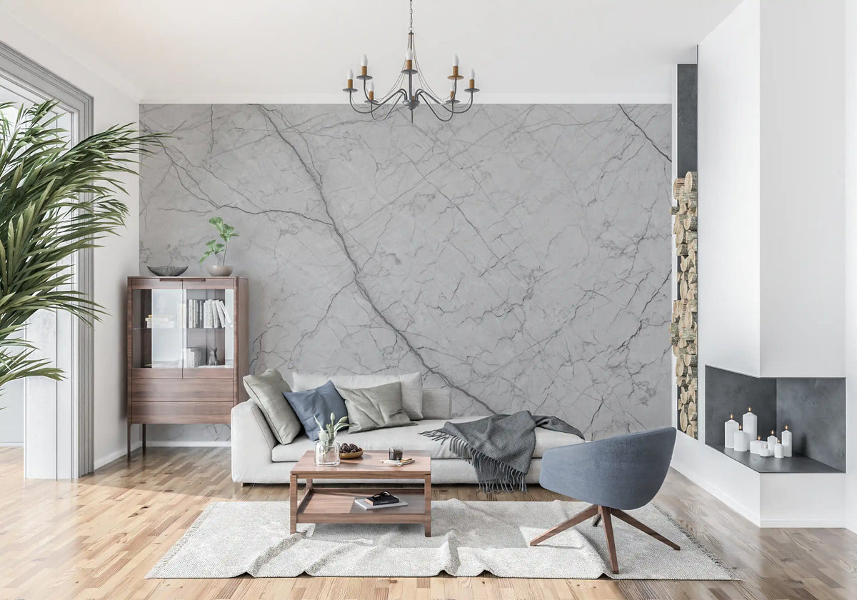 Décor mural en pierre grise monochrome veinée