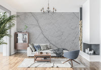 Décor mural en pierre grise monochrome veinée