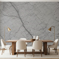 Décor mural en pierre grise monochrome veinée