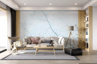 Ethereal Pale Marble Vein Wall Mural