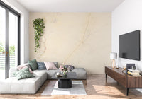 Wandbild mit cremiger Marmorsteinstruktur