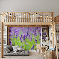Papier peint panoramique floral abstrait Harmonie lavande
