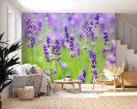 Papier peint panoramique floral abstrait Harmonie lavande