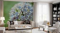 Chesterfield sofa and tall bookcase beside a pale blue allium close-up wall mural GD14202