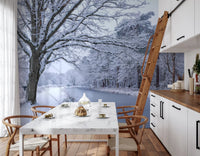 Veggmaleri med snødekt elvesti