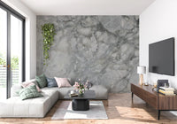 Fresque murale en dalle de marbre gris froid