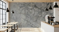 Fresque murale en dalle de marbre gris froid