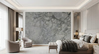 Fresque murale en dalle de marbre gris froid