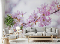 Minimalistisk väggmålning med vårens blomblad