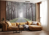 Enchanted Foggy Pine Corridor Wall Mural