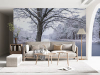 Fresque murale « Canal gelé, féerie hivernale »