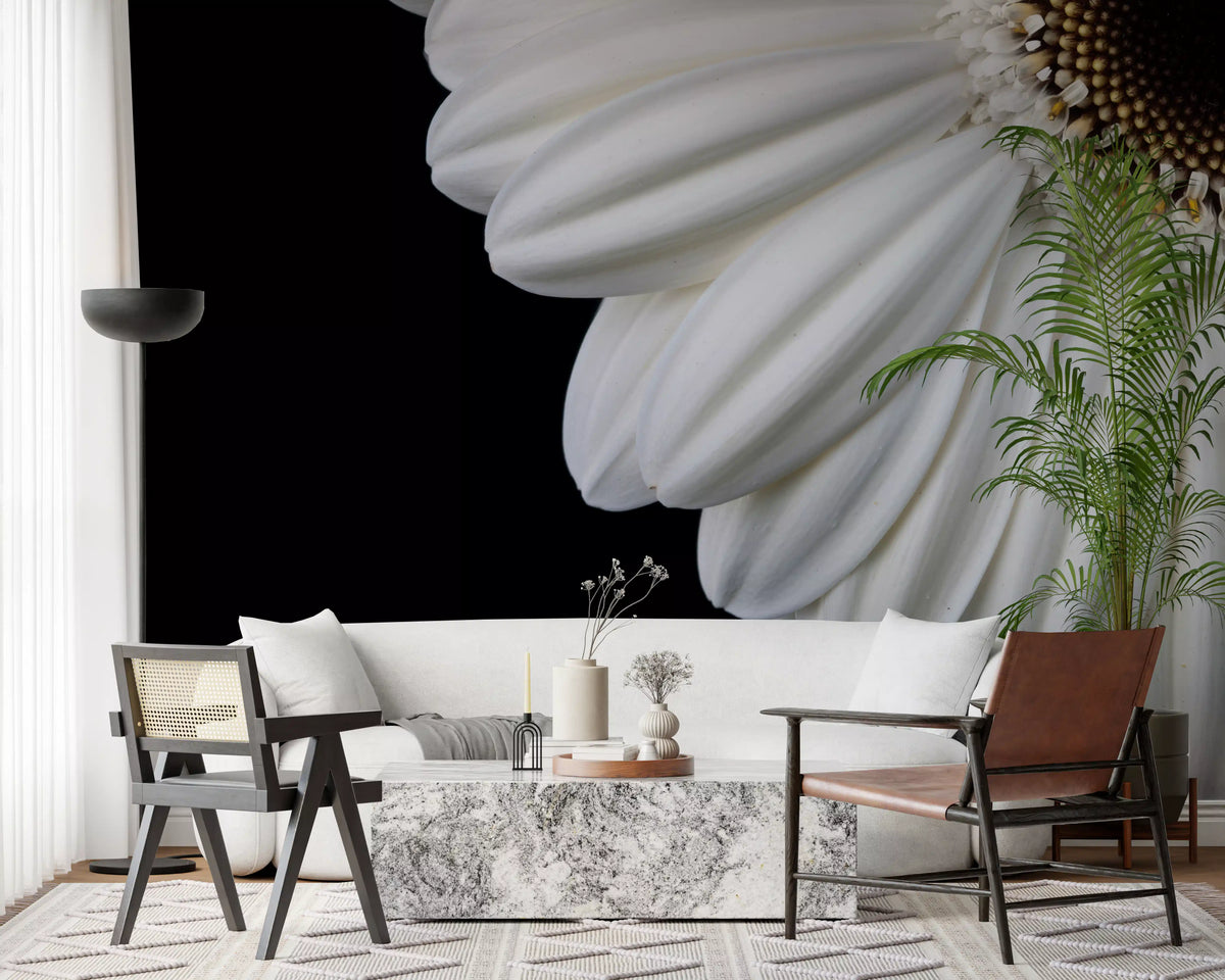 Monokromt vægmaleri med makrostudie af gerbera