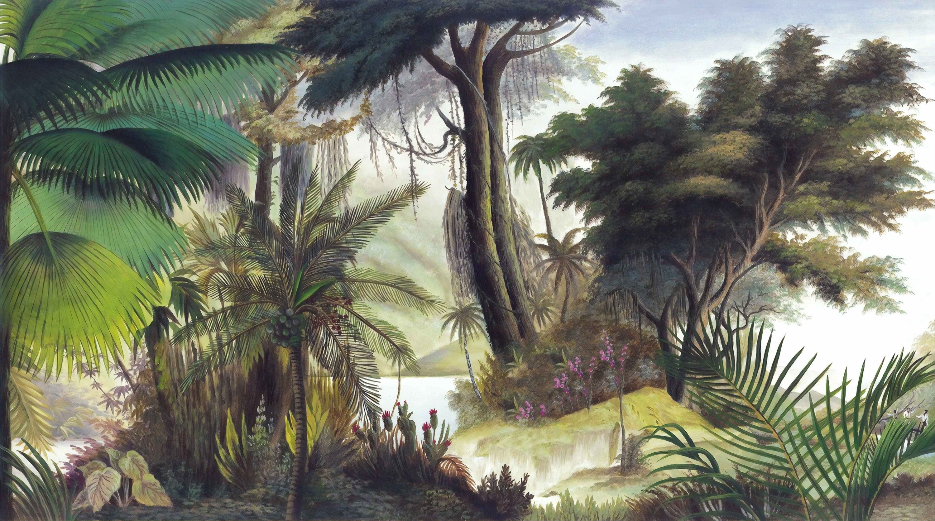 Tropical Foggy Forest Sali Pokój Tapeta Mural in your room — zoomed