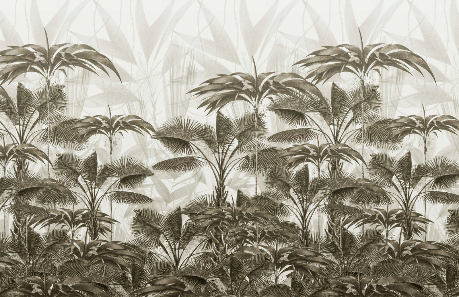 Bushy Palms Wallpaper Murals