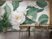 Beautiful camellia flowers wallpaper mural with white petals.
