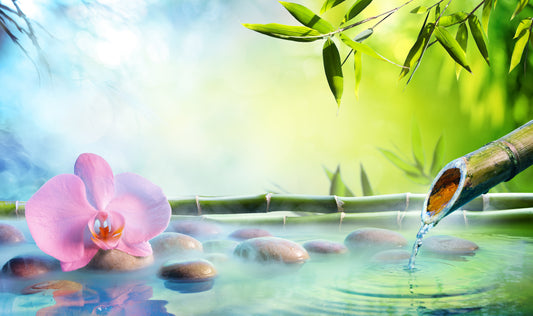 Peaceful Bamboo Grove Wall Mural