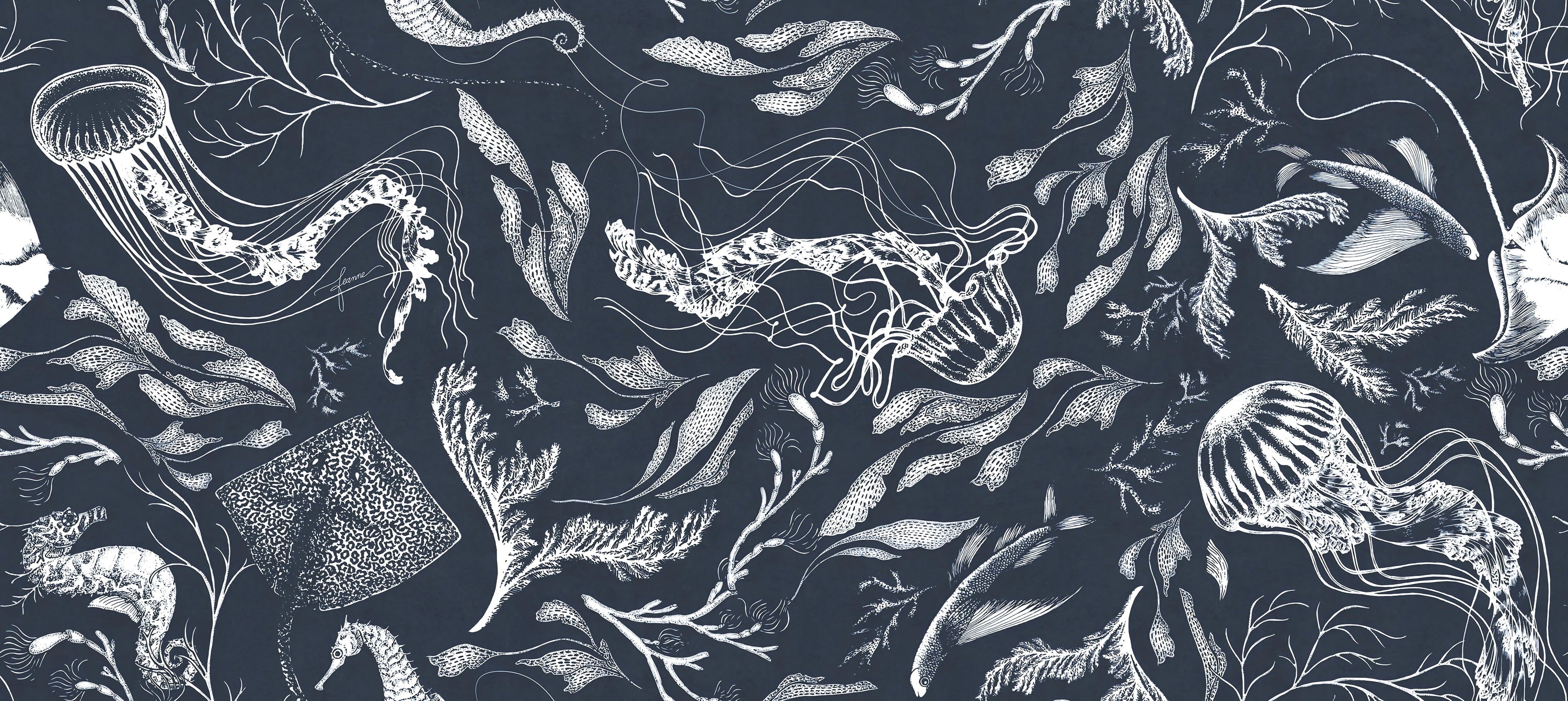 海軍海洋生物の壁紙 in your room — zoomed