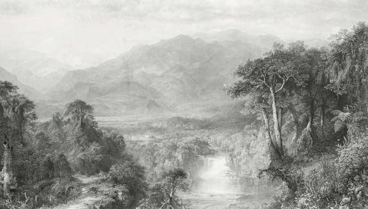 Carta da parati del paesaggio in bianco e nero vintage