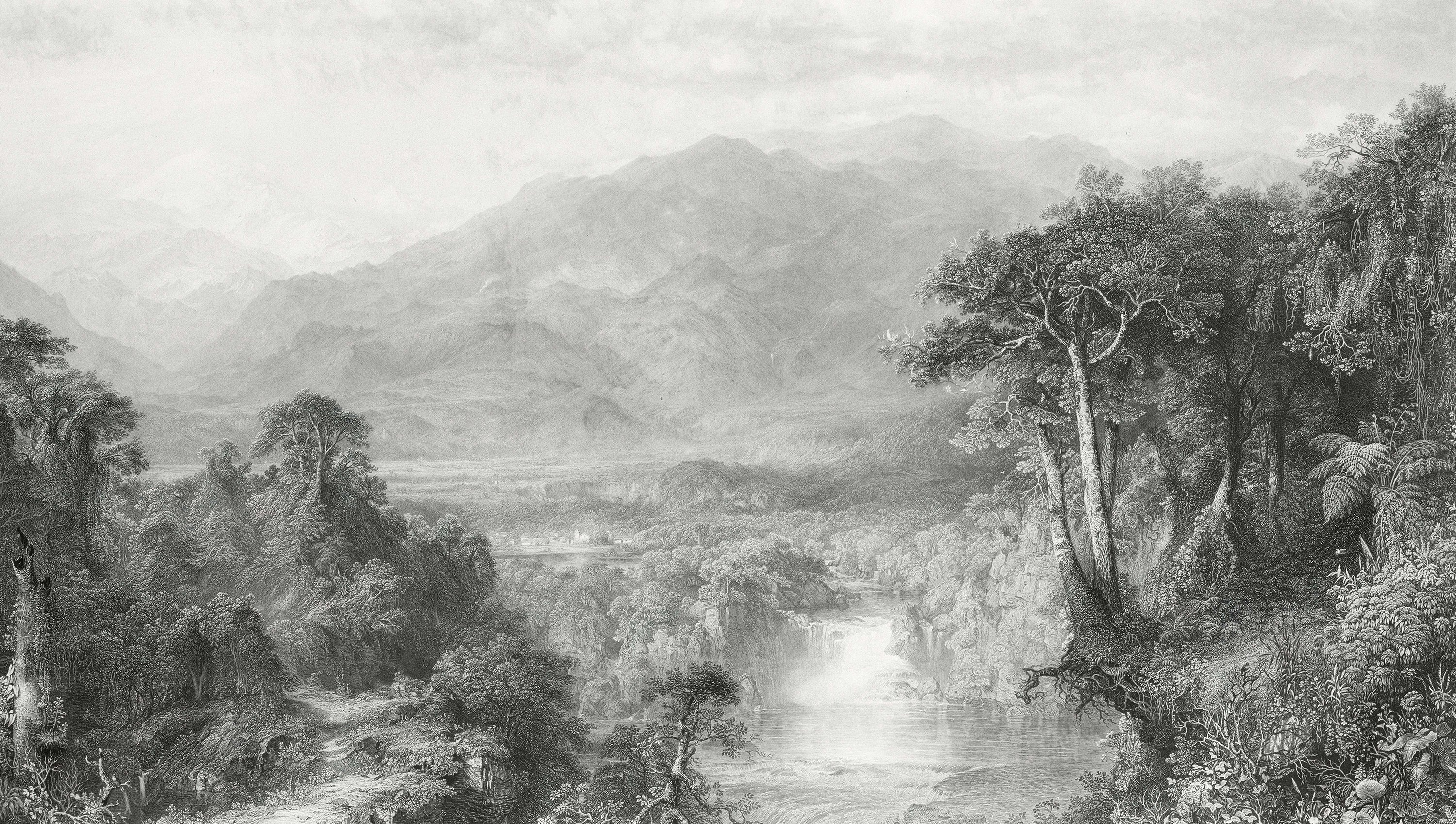 Carta da parati del paesaggio in bianco e nero vintage in your room — zoomed