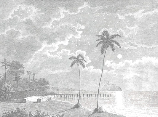 Sfondi di incisione della spiaggia tropicale illuminata da luna vintage