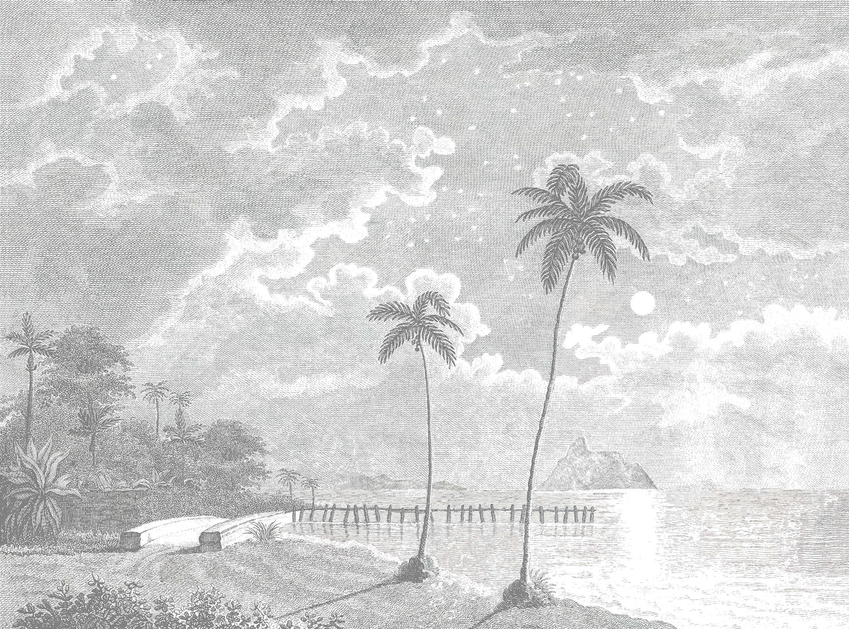 Vintage Moonlit Tropical Beach Etching Wallpaper in your room — zoomed