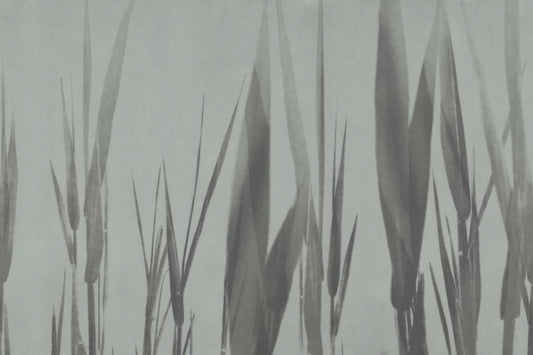 Monochrome Botanical Grass Wall Mural