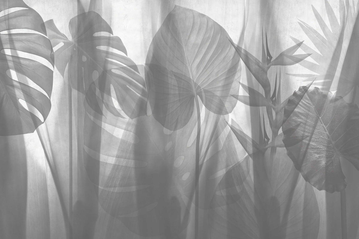 Monochrome Tropical Leaves Wallpaper in your room — zoomed