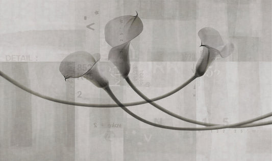 Murale floreale monocromatico con calla e giglio