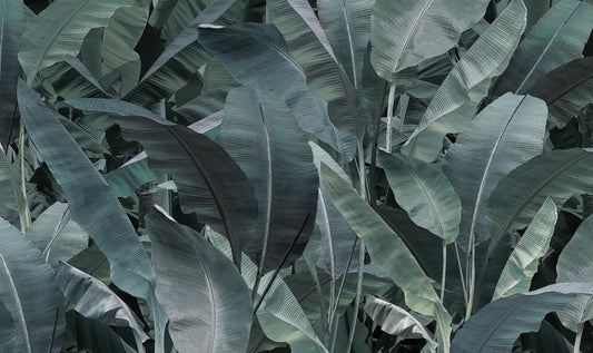 Fond de papier peint de feuilles de banane tropicale