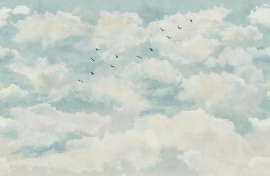 Wolken und Vögel Tapete Wandbild