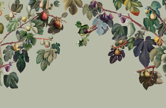 Botanische vijgentuinmuur muurschildering