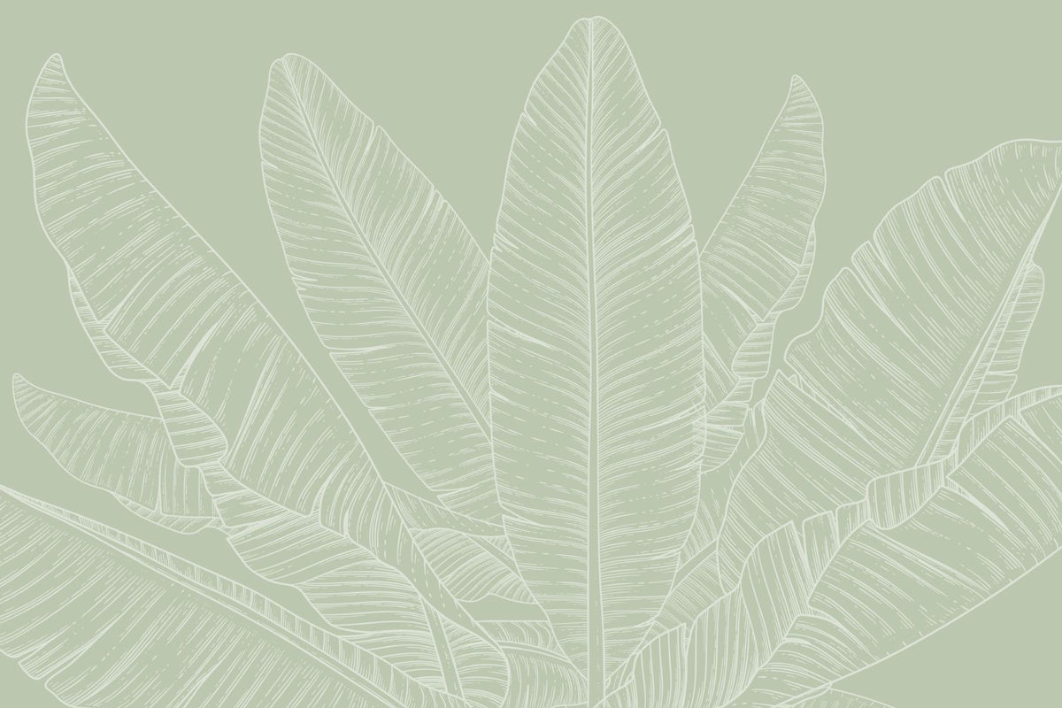 Green Banana Leaf Canopy Wallpaper in your room