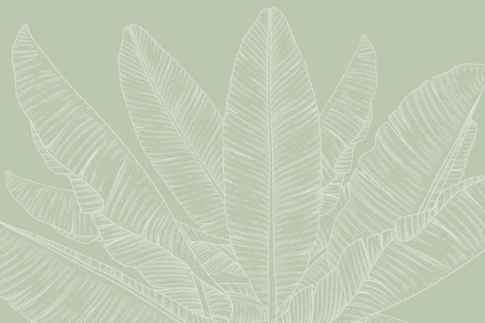 Green Banana Leaf Canopy Wallpaper