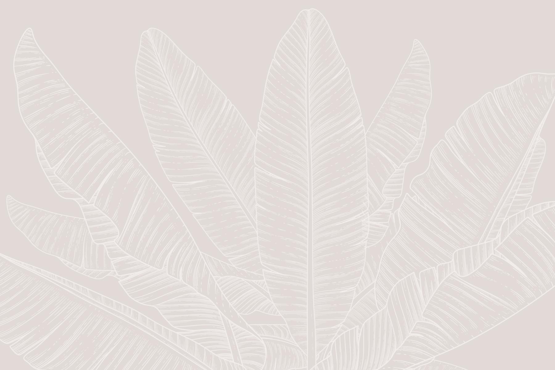 Beige Bananenblatt -Baldachin Tapete
