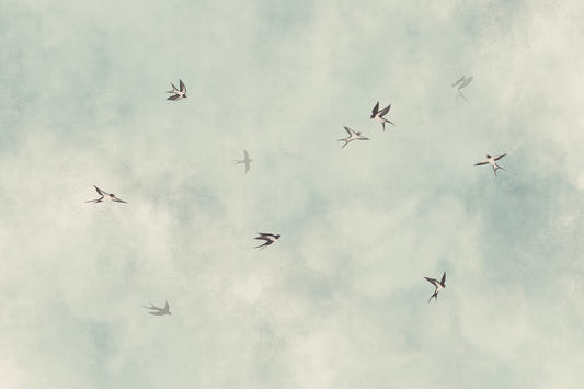Swallow Dance Sky Wallpaper