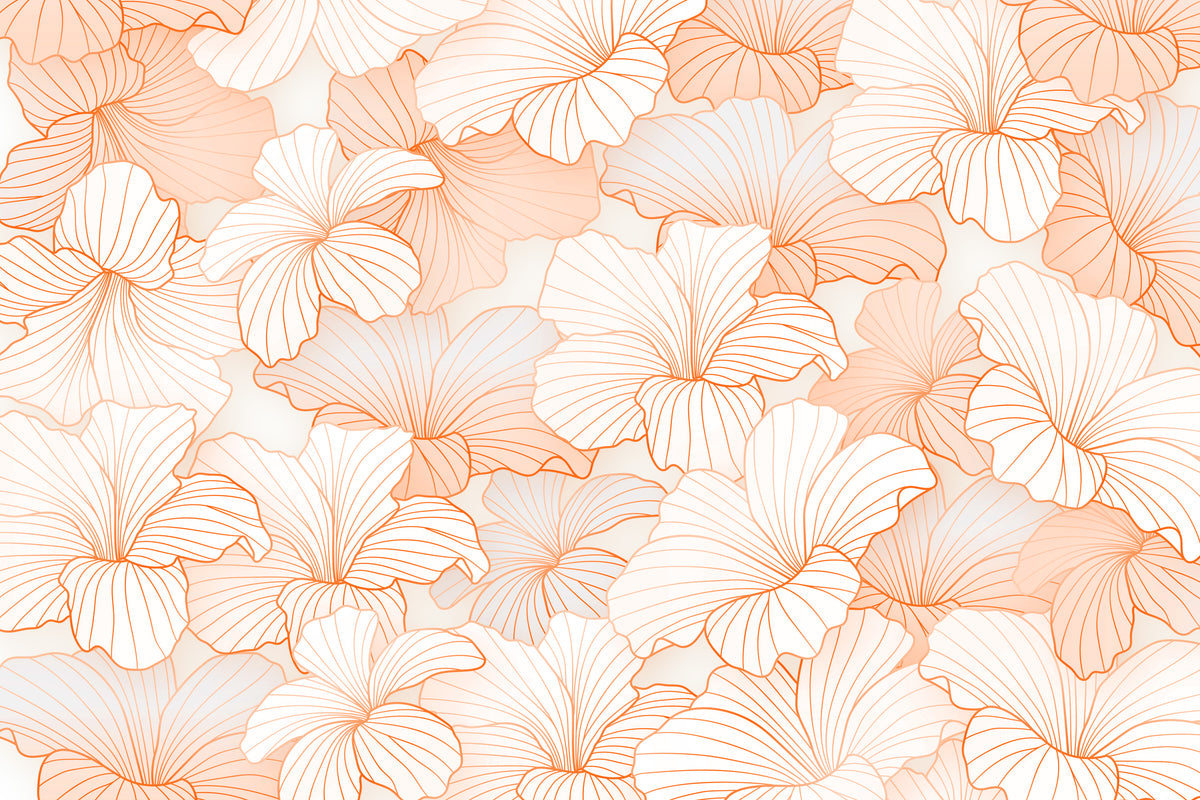 Peach Glow Blütenblatt Tapete in your room