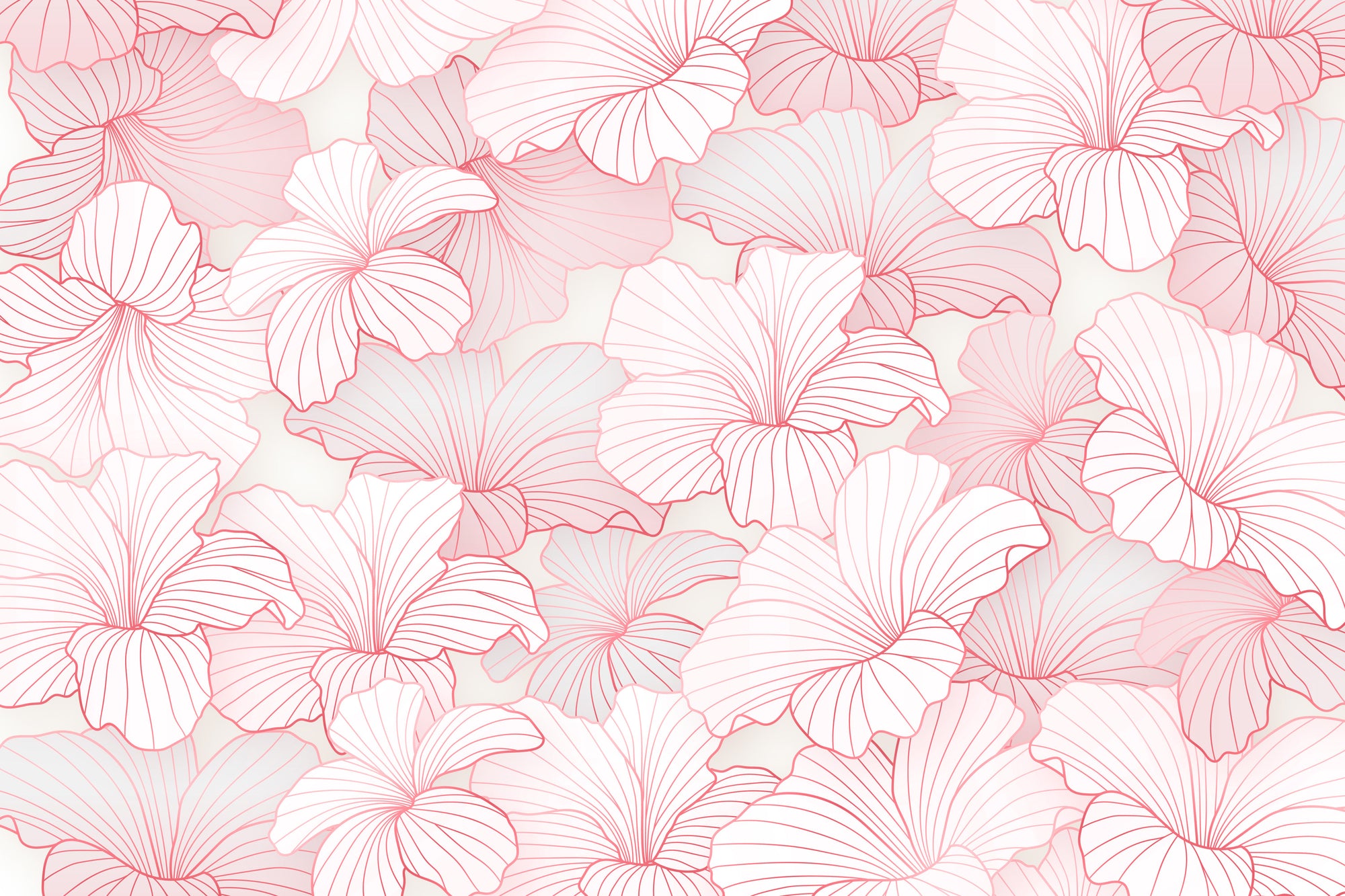 ピンクグローの花びらの壁紙