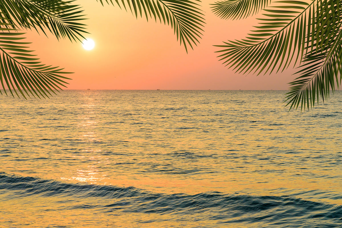 Coastal Glow Sunset Wallpaper Mural in your room — zoomed