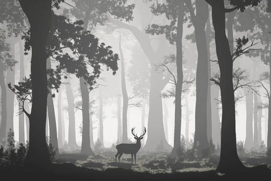 Misty Deer Forest Wallpaper Mural