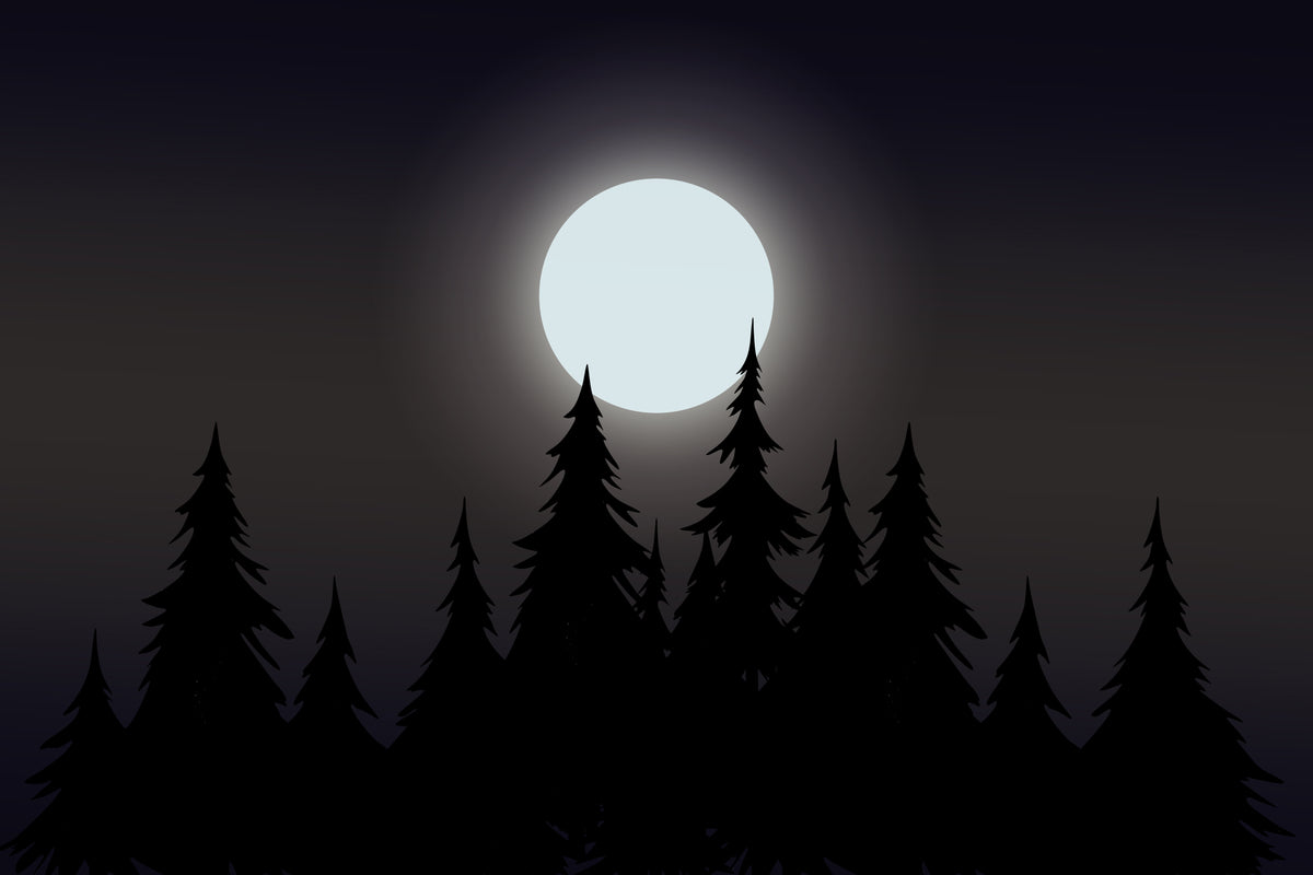 Fond d'écran de forêt au clair de lune mystique in your room — zoomed