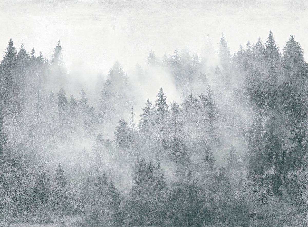 Murale panoramico con foresta di pini nebbiosi in your room — zoomed