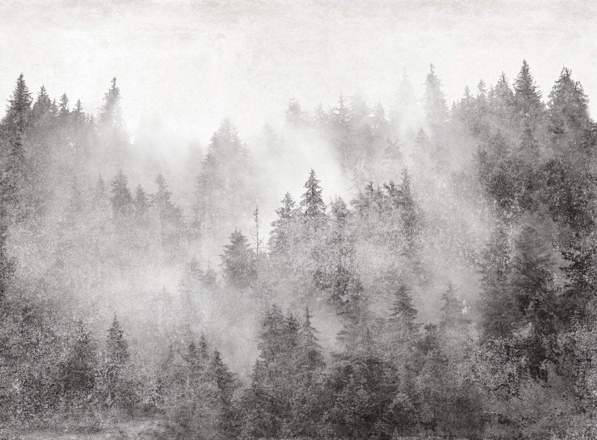 Fototapet monocrom cu pădure de pini încețoșată