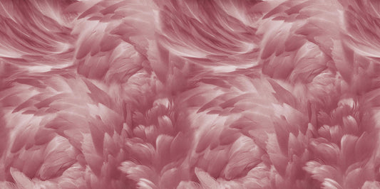 Blush Pink Feather Wallpaper Mural