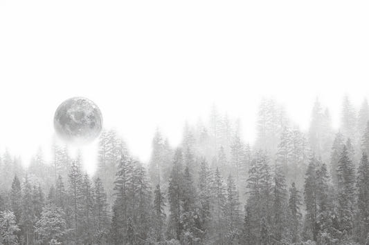 Misty Forest Moon Wallpaper Mural
