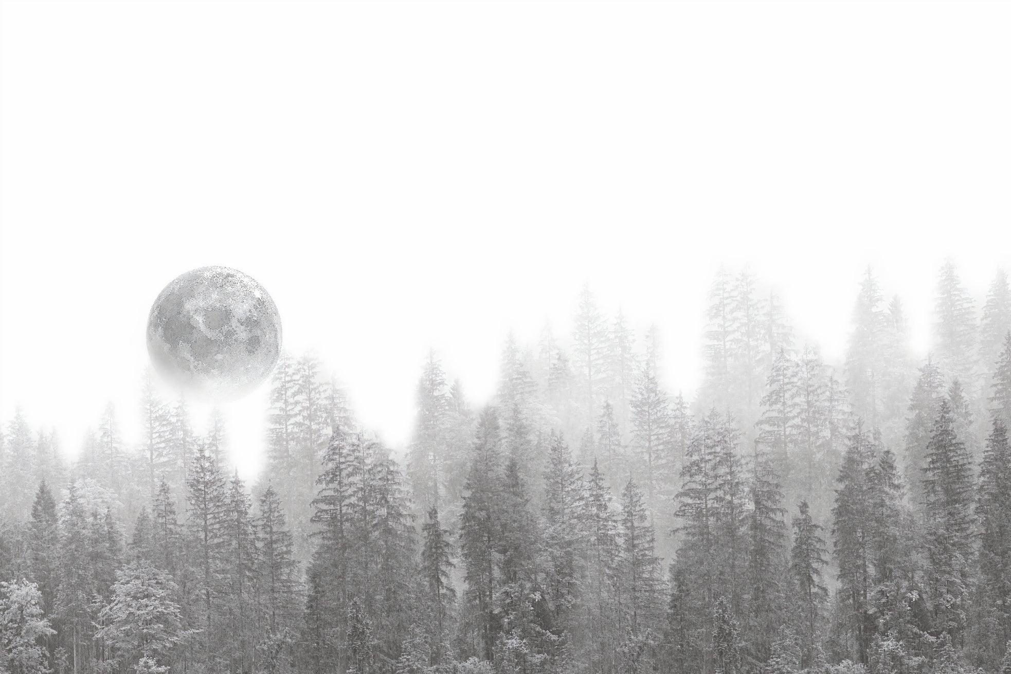 Misty Forest Moon Wallpaper Mural